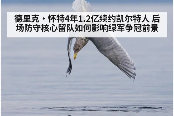 德里克·怀特4年1.2亿续约凯尔特人 后场防守核心留队如何影响绿军争冠前景