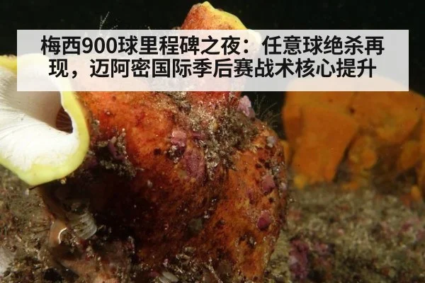 梅西900球里程碑之夜：任意球绝杀再现，迈阿密国际季后赛战术核心提升