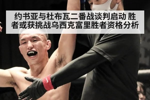 约书亚与杜布瓦二番战谈判启动 胜者或获挑战乌西克富里胜者资格分析